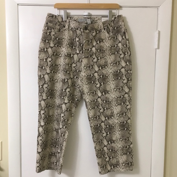 Chico’s Platinum Denim - Picture 2 of 5